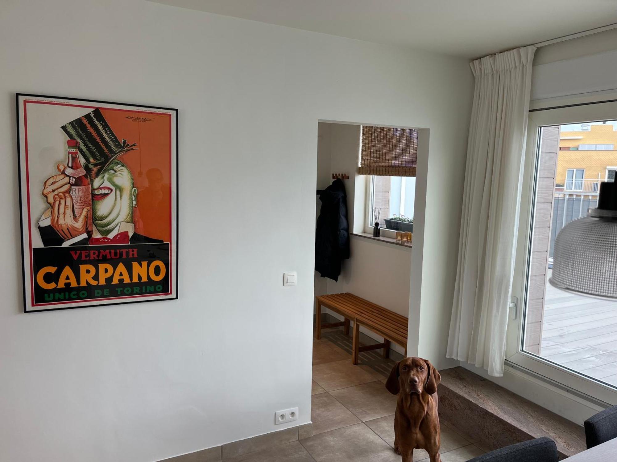 Penthouse 29 Apartment Oostende Ngoại thất bức ảnh